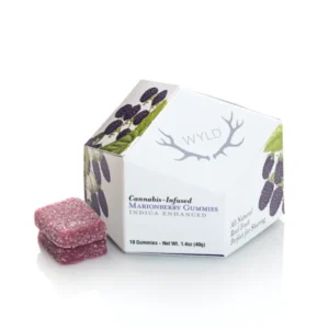 WYLD Huckleberry Hybrid Enhanced Gummies