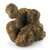 MAGIC TRUFFLES UTOPIA - Image 3